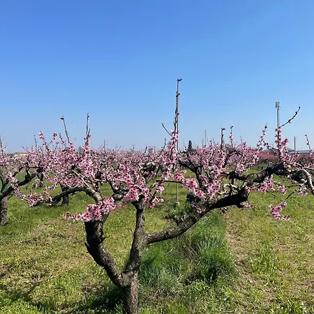 Corte Vecia Della Corte Farm stay