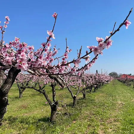 Farm stay Corte Vecia Della Corte Verona